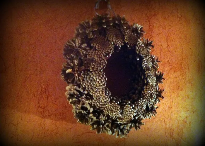 Les Songes D'helena Guest house 3*